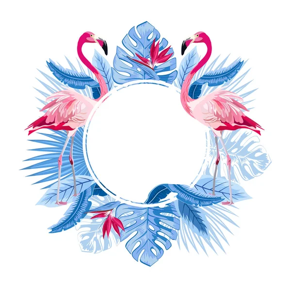 Pink Flamingo Liści Palmowych Egzotyczne Kwiaty Okrągłe Ramki Tropikalne Kartkę — Zdjęcie stockowe