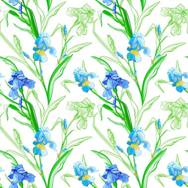Çiçek seamless modeli. Çiçek Iris arka plan. Çiçekli çiçekli sorunsuz doku.
