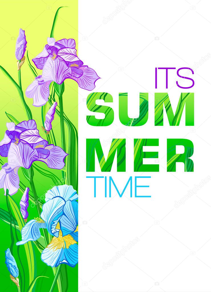 Its Summer Time  banner with blue and purple flowers, flower iris design for banner, flyer, invitation, poster, placard, web site or greeting card. 