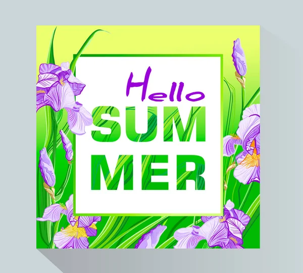 Bannière Hello Summer Avec Fleurs Bleues Violettes Motif Iris Fleur — Image vectorielle