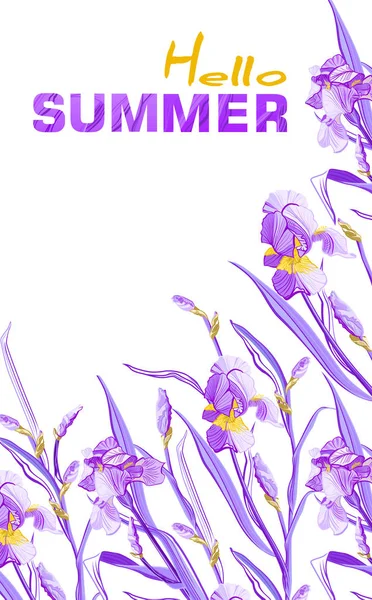 Hello Summer banner with blue and purple flowers, flower iris design for banner, flyer, invitation, poster, placard, web site or greeting card.