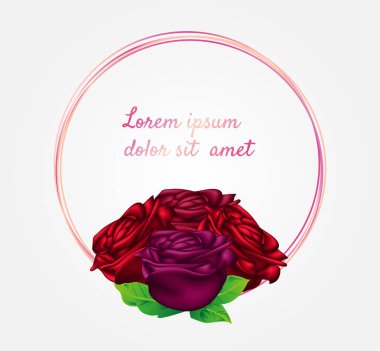 pembe daire üzerinde beyaz izole kırmızı gül