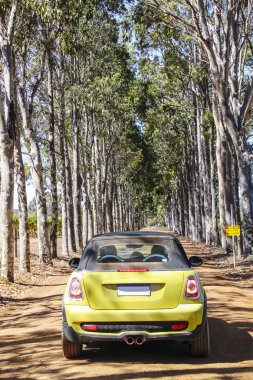 Margaret Nehri 'nin tozlu yolundaki üzüm bağlarından geçiyorum.