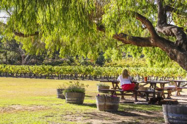 Wilyabrup, Margaret River, Batı Avustralya - 2011: Cullen şarap şarap tadını açık bir ağaç gölgesinde altında oturan bir bayan