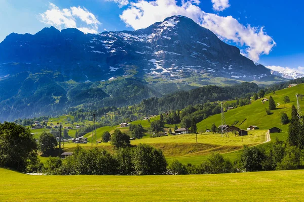 Paisagem Pitoresca Vale Grindelwald Situada Entre Montanhas Wetterhorn Mettenberg Eiger — Fotografia de Stock