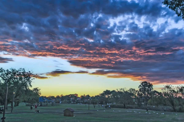 Perth 2011 Sonnenuntergang Einem Park Mit Dunklen Wolken Die Auf — Stockfoto