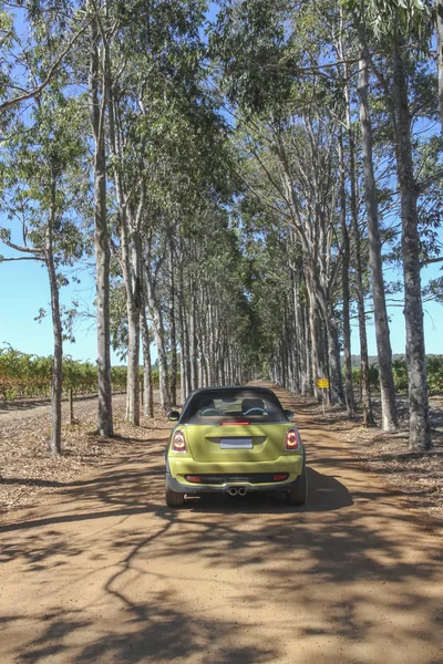 Conducir Través Los Viñedos Margaret River Camino Tierra Polvorienta —  Fotos de Stock