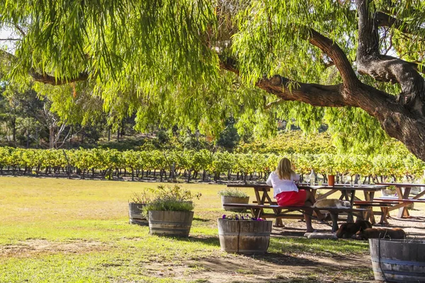 Wilyabrup Margaret River Western Australia 2011 Lady Sitting Open Shade — Stock Photo, Image