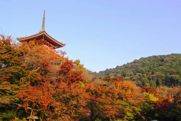 Templo Pagode Escondido Atrás Folhagem Das Árvores — Fotografia de Stock