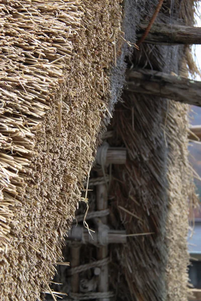 Thick straw rooftop of a gassho-style house in Shirakawago Village