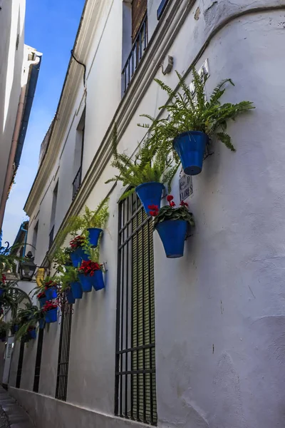 Bílé Stěny Modré Květináče Calleja Las Flores Ulice Květin — Stock fotografie