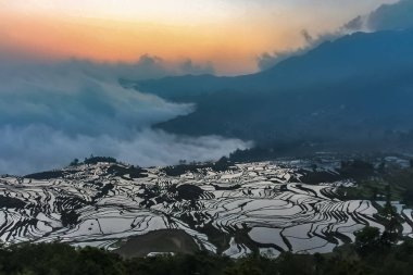 Yuanyang pirinç terasları yüksek kotunda havadan görünümü mistik deniziyle bulutların Daybreak ile