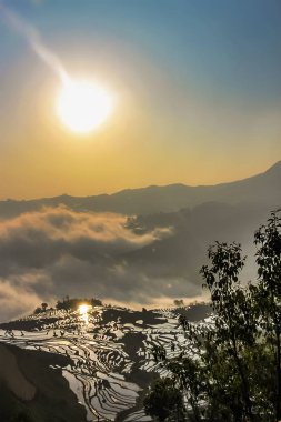 Yuanyang pirinç terasları ve bulutlar deniz güneş doğarken