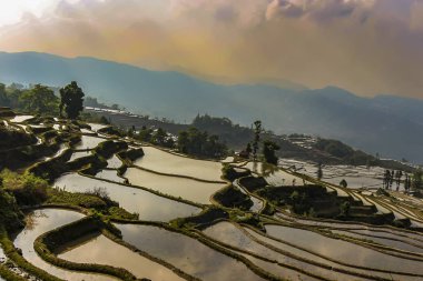 Akşamları Yuanyang pirinç teraslarının en üst manzarası.