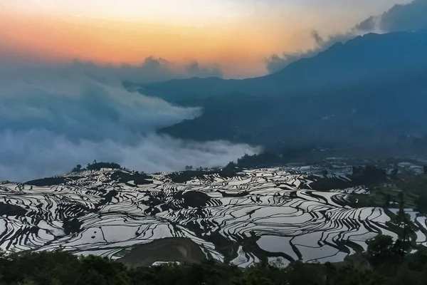 Yuanyang pirinç terasları yüksek kotunda havadan görünümü mistik deniziyle bulutların Daybreak ile
