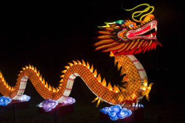 Işıklı Çince dragon ışık nesne bir Çin ışık Festivali