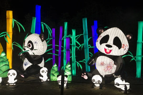 大小のパンダは中国光祭でオブジェクトを光します — ストック写真