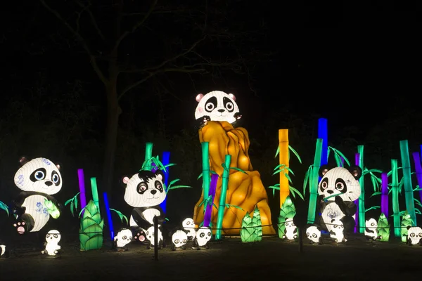 Chinees Verlicht Panda Beren China Light Festival — Stockfoto