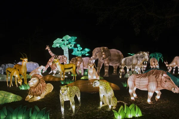 さまざまな野生動物が中国光祭でオブジェクトのライオン キリン 鹿を光します — ストック写真