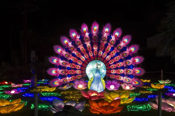 Bellamente Iluminado Objeto Luz Del Pavo Real China Light Festival —  Fotos de Stock