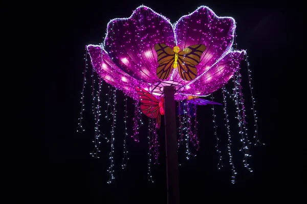 Illuminated Fantasy Flower Light Objectat China Light Festival — Stock Photo, Image