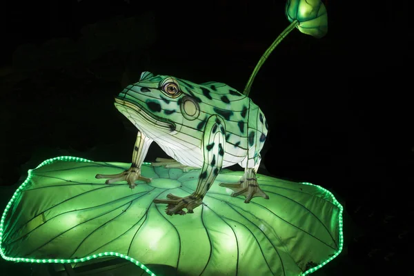 Illuminated Green Frog Lightobject China Light Festival — Stock Photo, Image