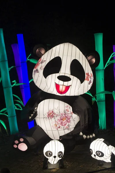 Chinese Illuminated Panda China Light Festival — Stock Photo, Image