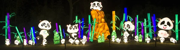 中国照明中国光祭でパンダ — ストック写真