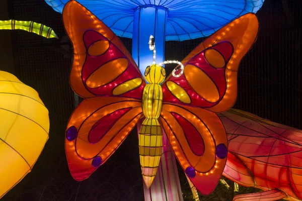 Chinese Verlichten Vlinder China Light Festival — Stock Photo, Image