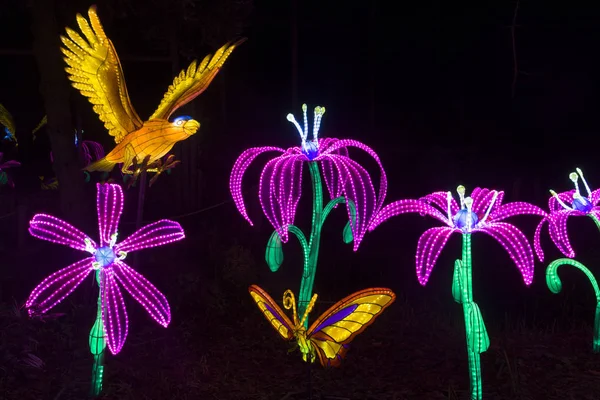 中国光祭で花と鳥 Lightobjects — ストック写真