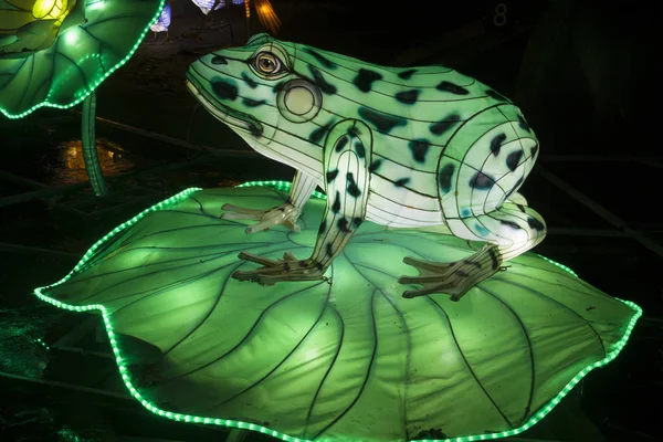 アジアの祭りで暗闇の中輝く緑のカエル オブジェ — ストック写真