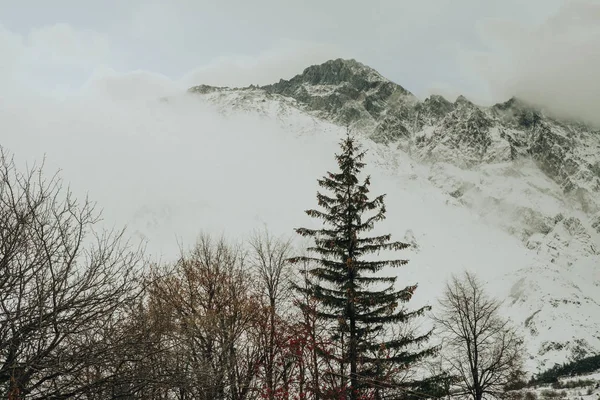 カズベギ ジョージア州の山 — ストック写真