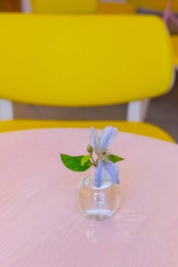 Bir kafede bir masada vazo içinde küçük çiçek