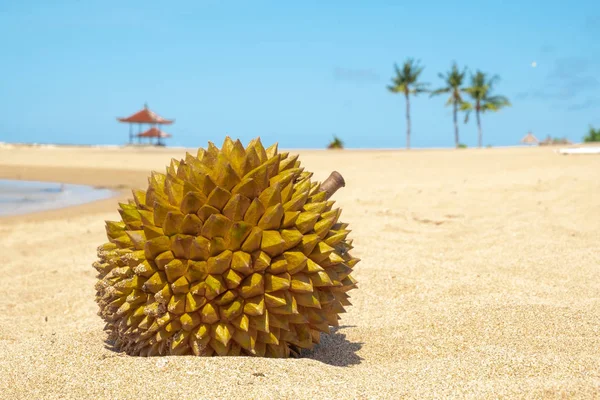 Durian owoców — Zdjęcie stockowe