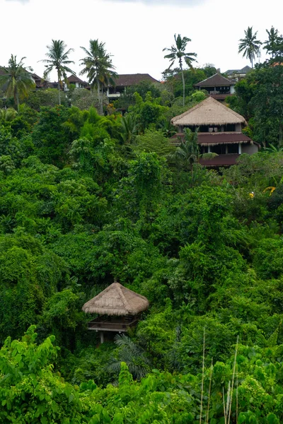 Casas y villas en medio de la selva en Ubud, Bali —  Fotos de Stock