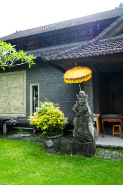 Kopya alanı olarak gökyüzü ile palmiye ağaçları