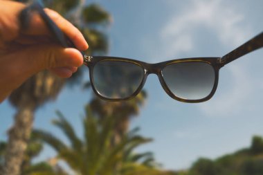 Palmiye ağaçlarının arka planda güneş gözlüğü