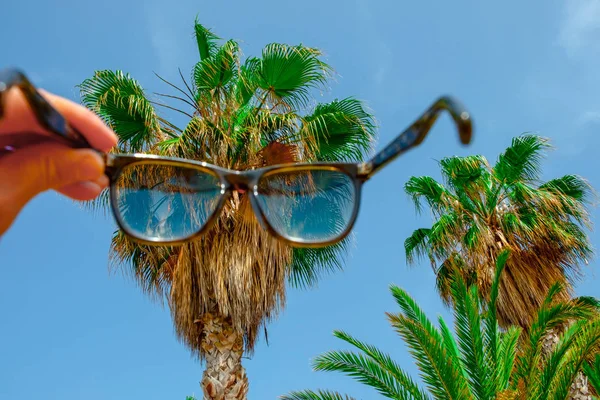 Okulary przeciwsłoneczne na tle drzew palmowych — Zdjęcie stockowe