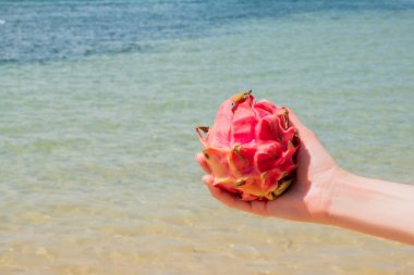 Palmiye ağaçlarının arka plan üzerinde kum ejderha meyve. Çiğ gıda