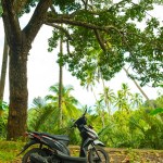 Moto Bike onder de bomen. Palmbomen. Mode, reizen, zomer, v