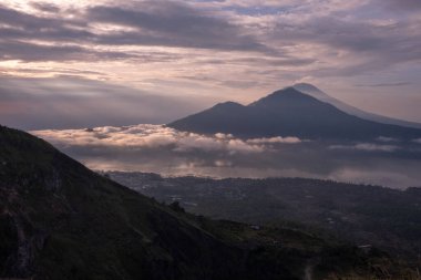 Pirinç tarlalarının manzarası. Ubud. Bali Adası