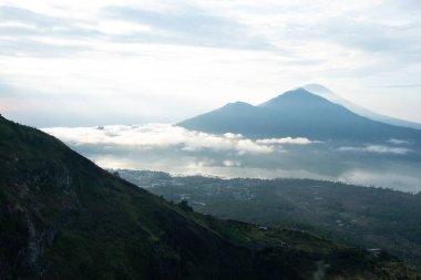 Pirinç tarlalarının manzarası. Ubud. Bali Adası