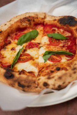 Domates, fesleğen ve Mozzarella peynirli pizza..