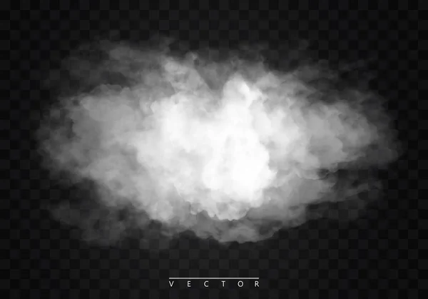 Fog or smoke isolated transparent special effect. White vector cloudiness, mist or smog background. Vector illustration