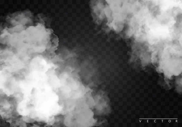 Nebel Oder Rauch Isolierten Transparente Spezialeffekte Weißer Vektor Trübung Nebel — Stockvektor
