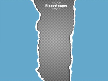 Torn paper sheet, ripped paper edges isolated on transparent background . Vector EPS10 illustration. clipart