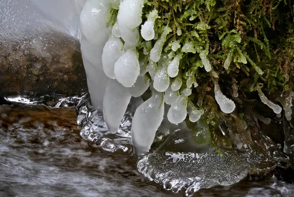 Pequeno Riacho Florestal Primeiro Dia Inverno Congelando Criações Gelo Frio — Fotografia de Stock