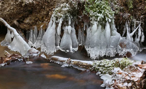 Pequeno Riacho Florestal Primeiro Dia Inverno Congelando Criações Gelo Frio — Fotografia de Stock