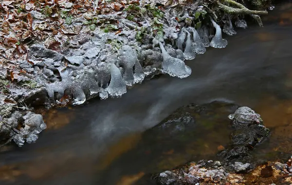 Pequeno Riacho Florestal Primeiro Dia Inverno Congelando Criações Gelo Frio — Fotografia de Stock
