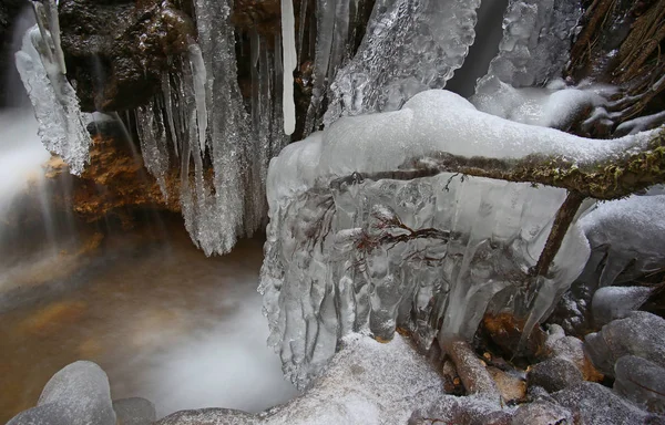 Pequeno Riacho Florestal Primeiro Dia Inverno Congelando Criações Gelo Frio — Fotografia de Stock